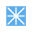 Netpeak